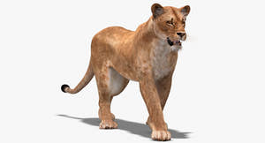 Animated Lioness 3D Model for Download Thumbnail