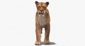 Big Cats 3D Model Animated Thumbnail