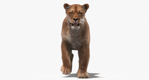 Animated Lioness 3D Model with Fur Thumbnail