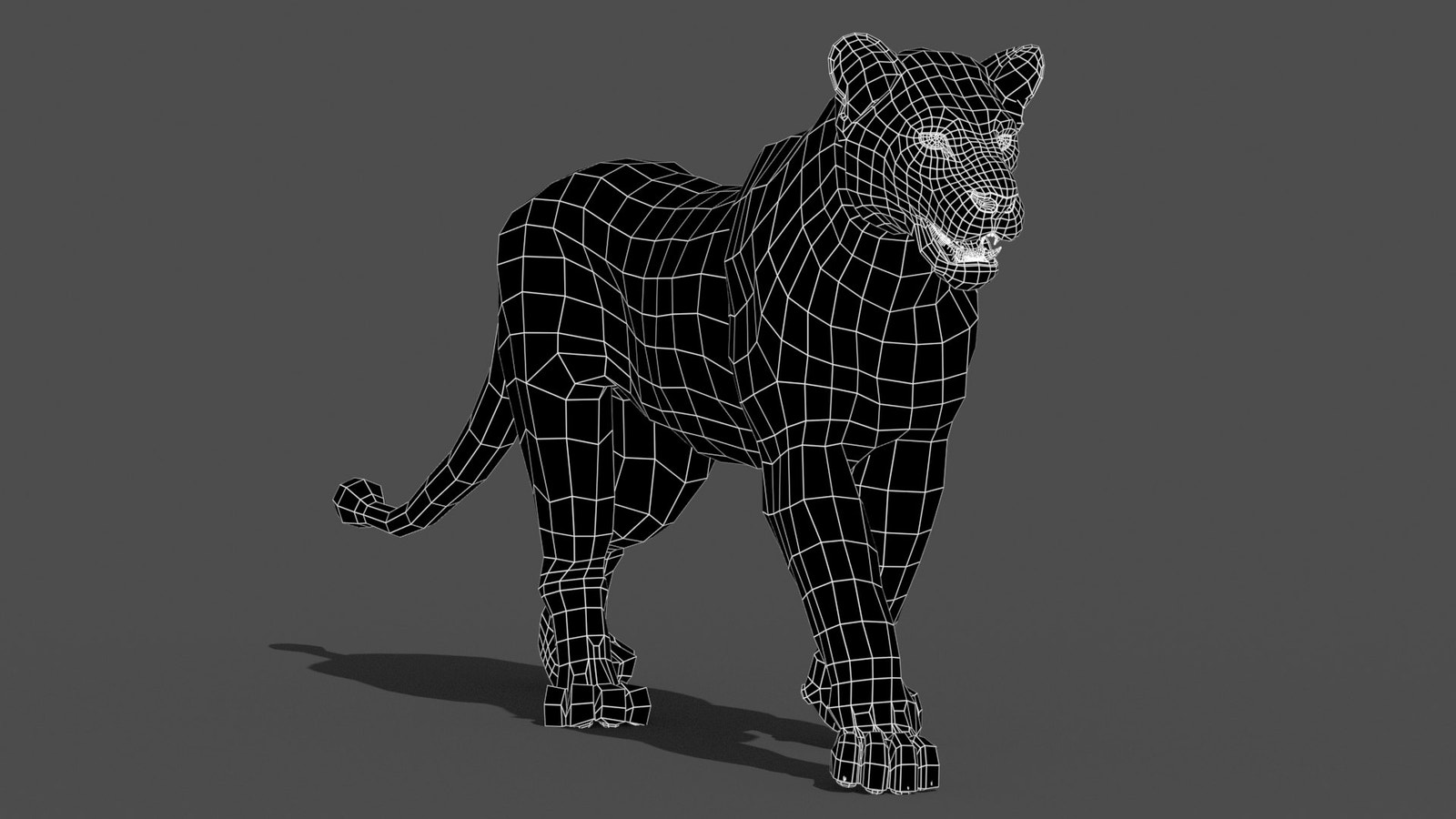 Animated Lioness 3D Model Wireframe View - Subdivision Level 0