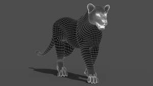 Animated Lioness 3D Model Wireframe View - Subdivision Level 1 Thumbnail