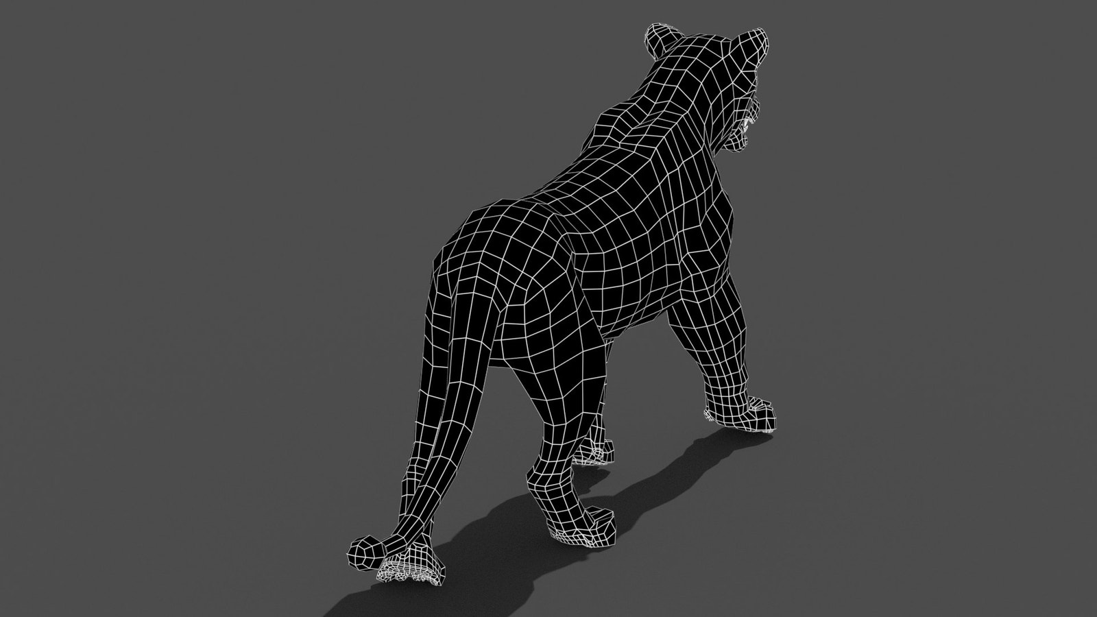Animated Lioness 3D Model Wireframe View - Subdivision Level 0