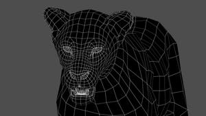 Animated Lioness 3D Model Wireframe View - Subdivision Level 0 Thumbnail