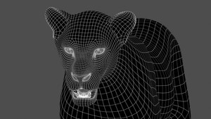Animated Lioness 3D Model Wireframe View - Subdivision Level 1 Thumbnail