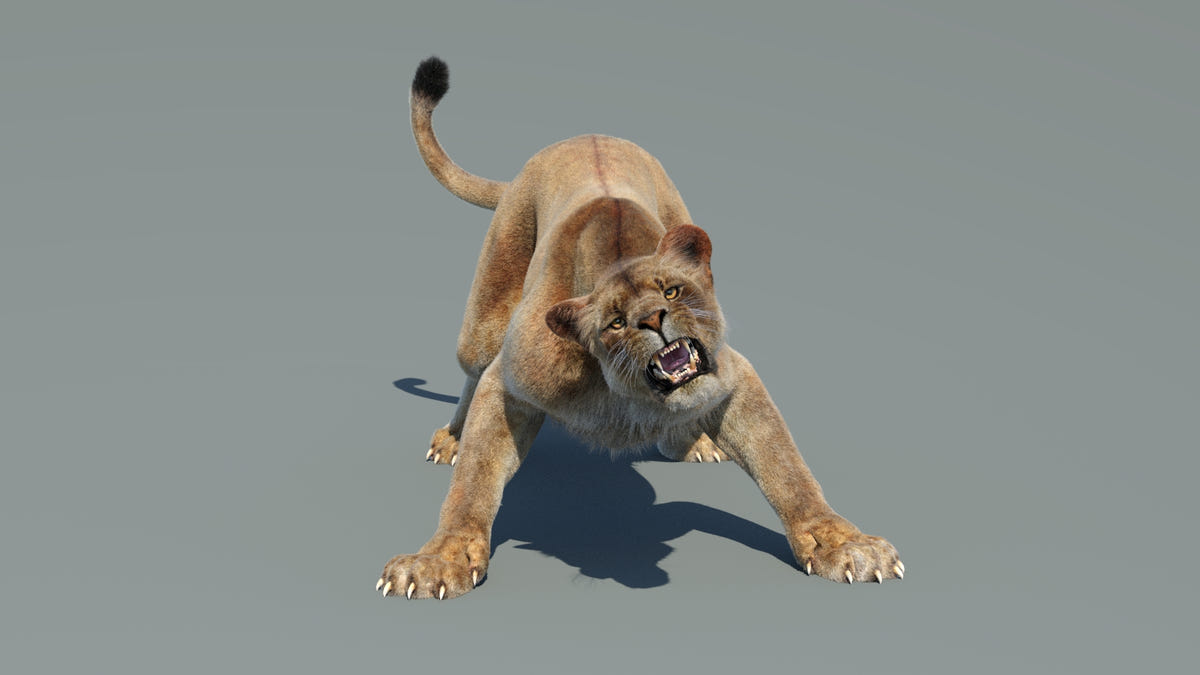 Animated Lion Family 3D Models – Lion, Lioness and Cub - 360 Degree View