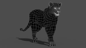 Animated Lioness 3D Model Wireframe View Subdivision Level 0 Thumbnail