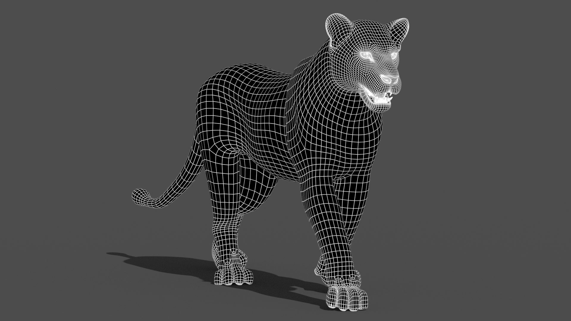 Animated Lioness 3D Model Wireframe View Subdivision Level 1