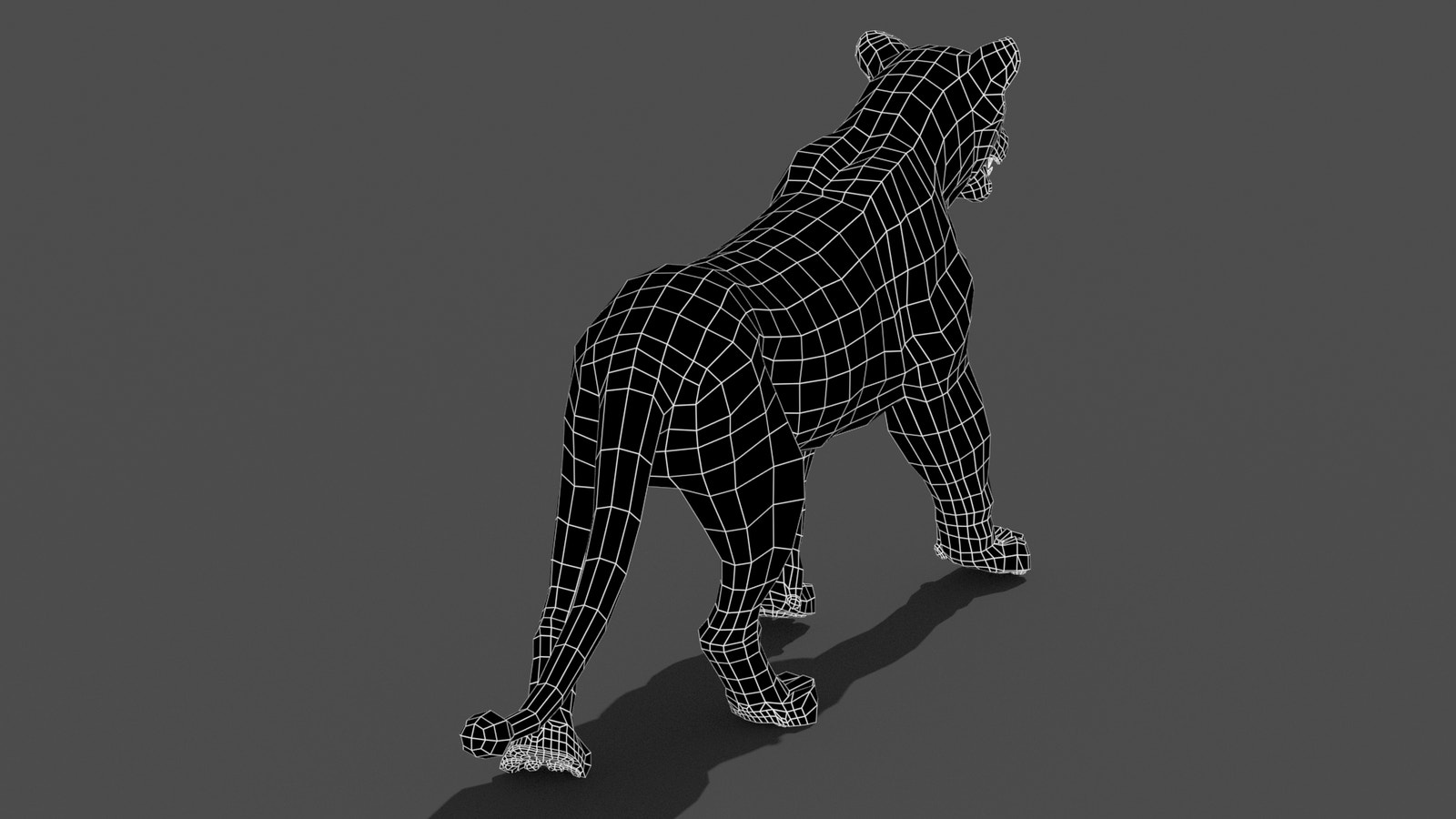 Animated Lioness 3D Model Wireframe View Subdivision Level 0 back View