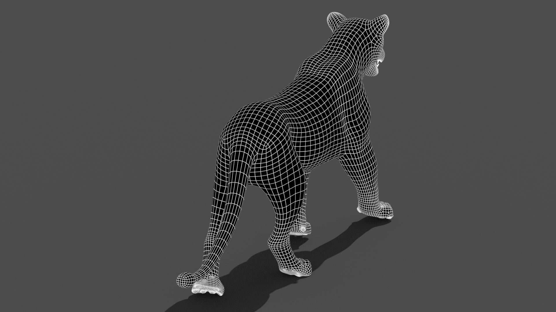 Animated Lioness 3D Model Wireframe View Subdivision Level 1 back View