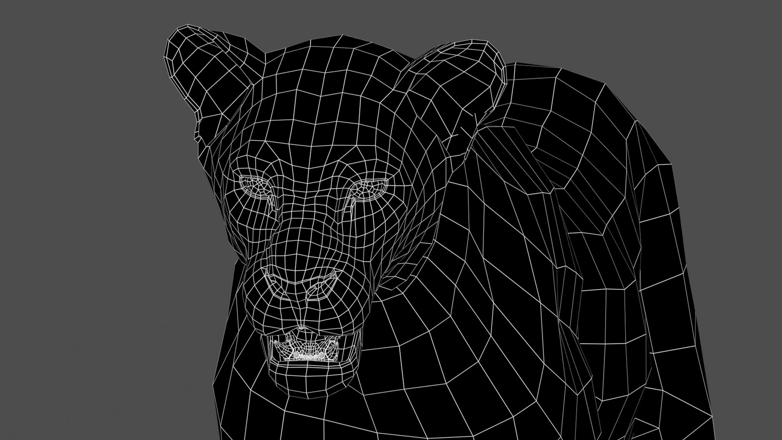 Animated Lioness 3D Model Head Close Up - Wireframe View Subdivision Level 0