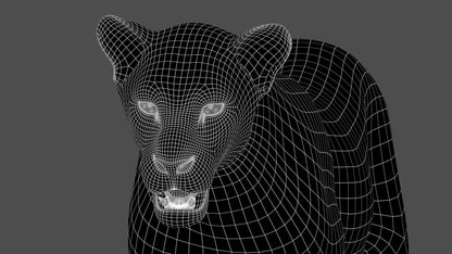Animated Lioness 3D Model