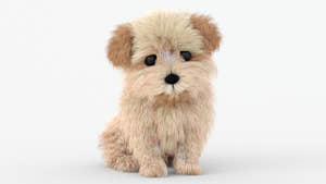 Animated Maltipoo Dog Puppy 3D Model Alpha Hair Thumbnail