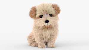 Animated Maltipoo Dog Puppy 3D Model Alpha Hair Thumbnail