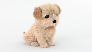Animated Maltipoo Dog Puppy 3D Model Alpha Hair Thumbnail