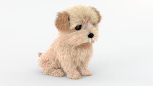Animated Maltipoo Dog Puppy 3D Model Alpha Hair Sitting Thumbnail