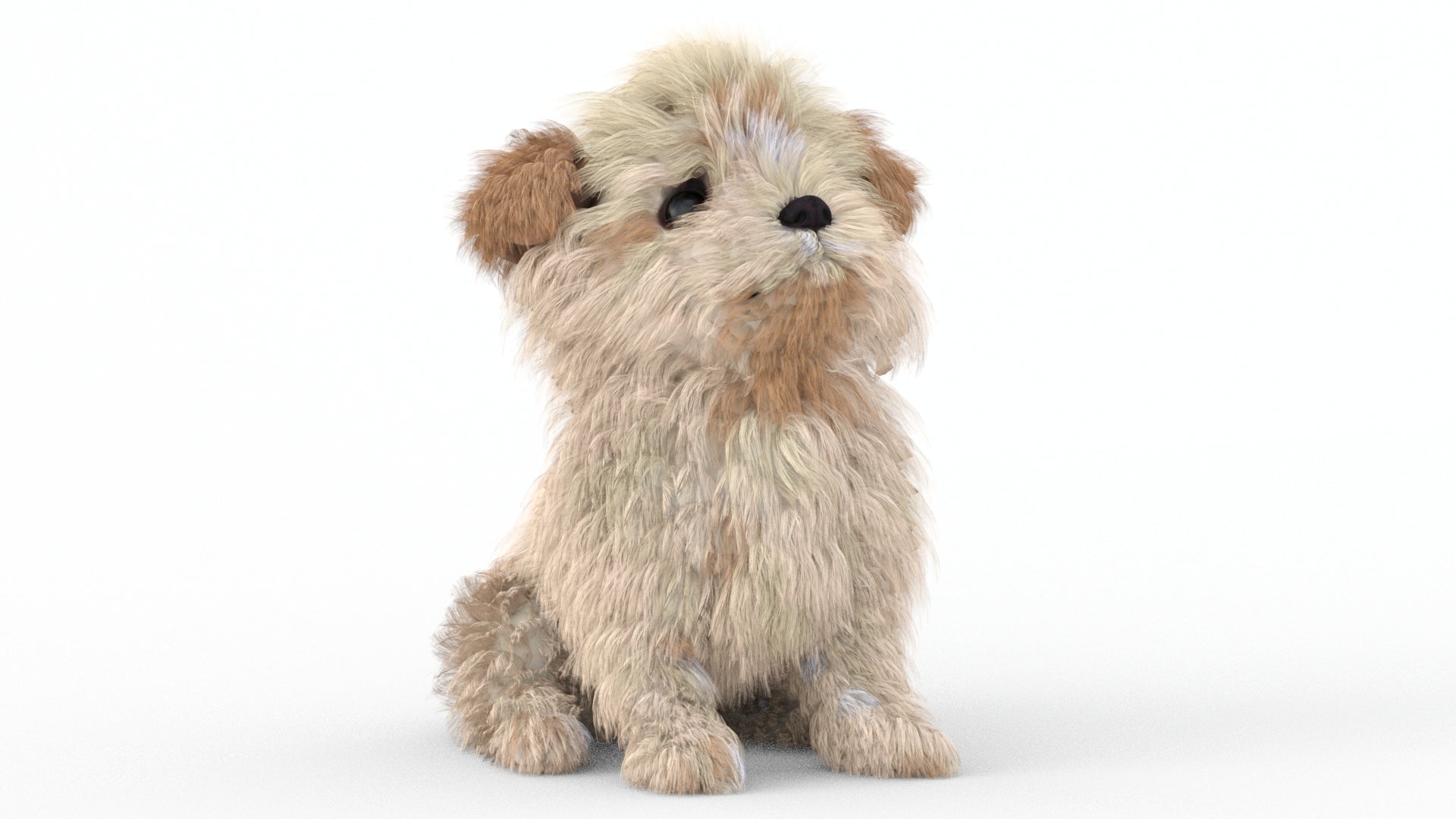 Animated Maltipoo Dog Puppy 3D Model Alpha Hair