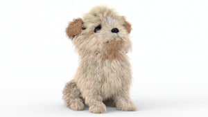 Animated Maltipoo Dog Puppy 3D Model Alpha Hair