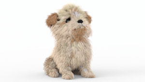 Animated Maltipoo Dog Puppy 3D Model Alpha Hair Thumbnail