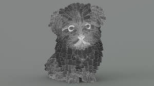 Animated Maltipoo Dog Puppy 3D Model Alpha Hair Wireframe View Thumbnail