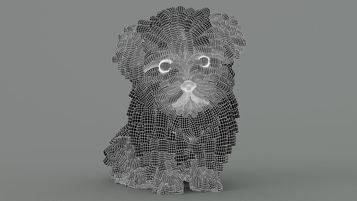 Animated Maltipoo Dog Puppy 3D Model Alpha Hair Wireframe View
