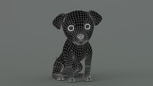 Animated Maltipoo Dog Puppy 3D Model Wireframe View Thumbnail
