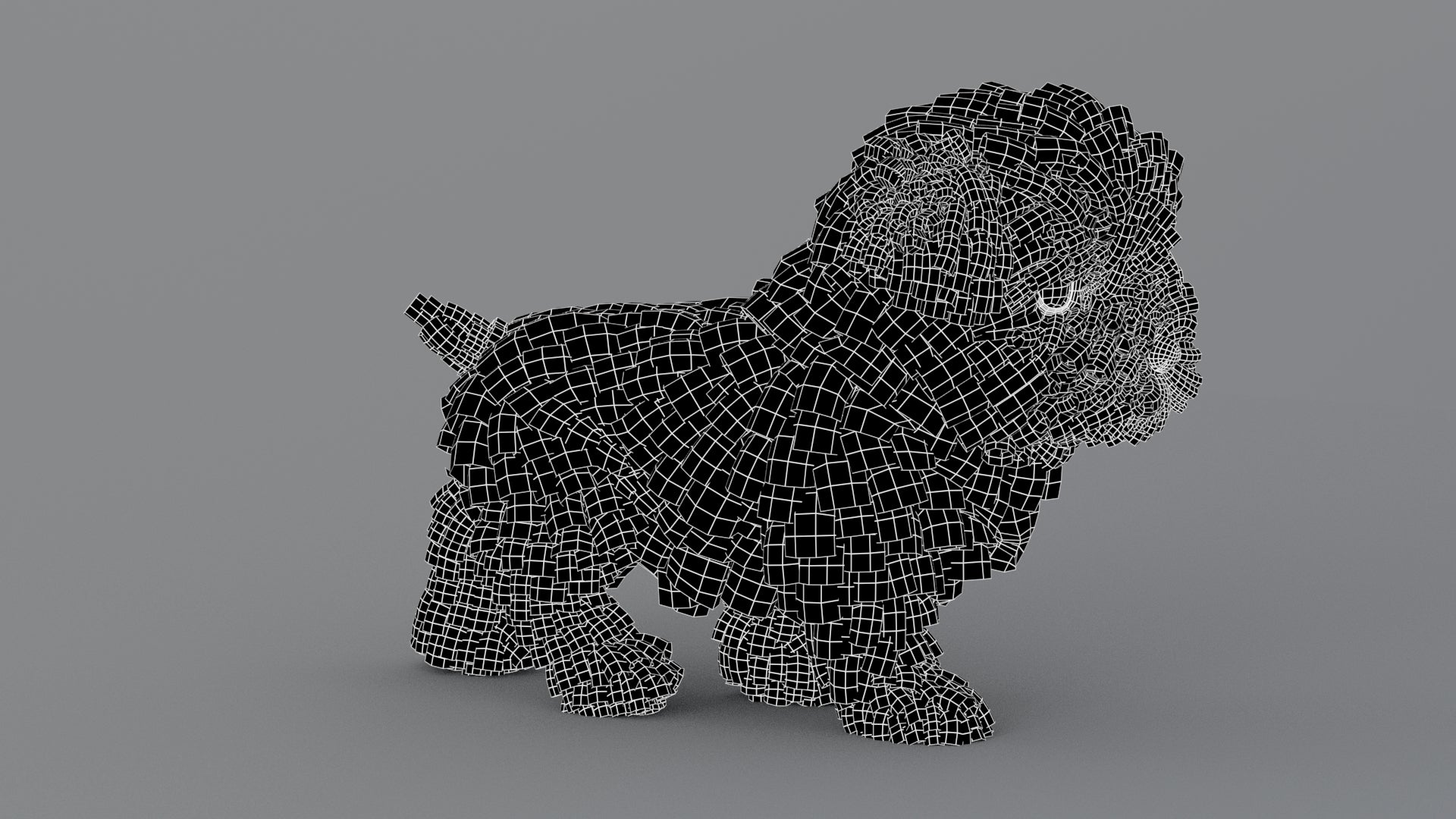 Animated Maltipoo Dog Puppy 3D Model Alpha Hair Wireframe View