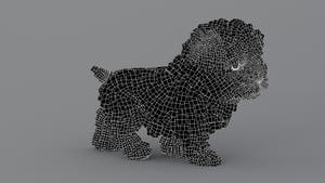 Animated Maltipoo Dog Puppy 3D Model Alpha Hair Wireframe View Thumbnail