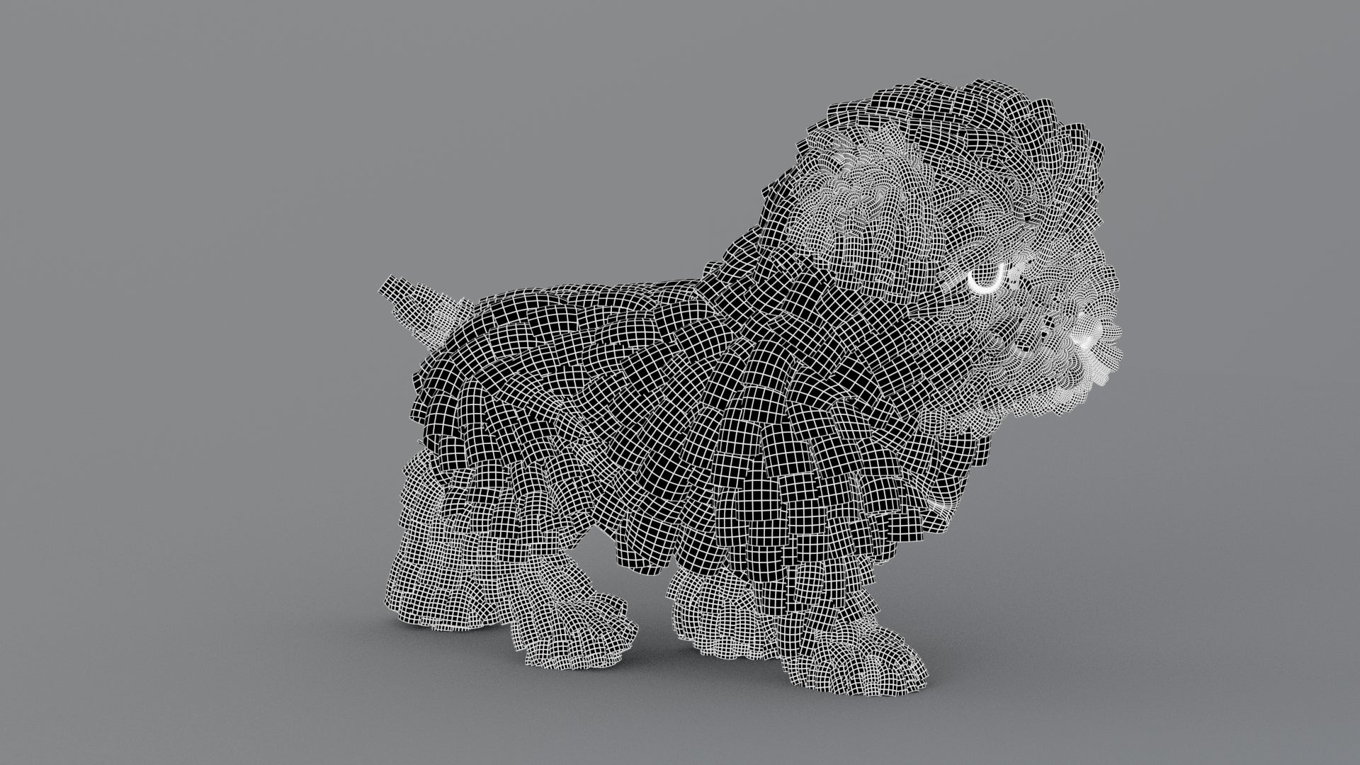 Animated Maltipoo Dog Puppy 3D Model Alpha Hair Wireframe View