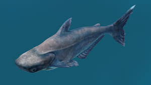 Animated Mekong Giant Catfish 3D Model Thumbnail