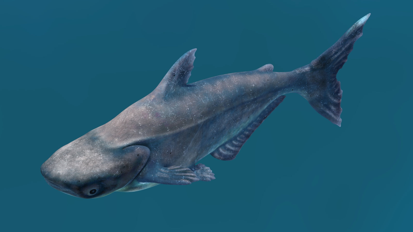 Animated Mekong Giant Catfish 3D Model