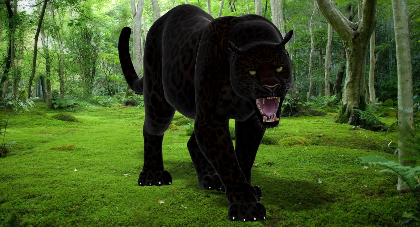 Leopard and Panther Animated 3D Model
