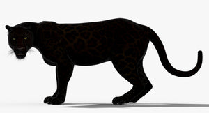 Animated Panther 3D Model Thumbnail