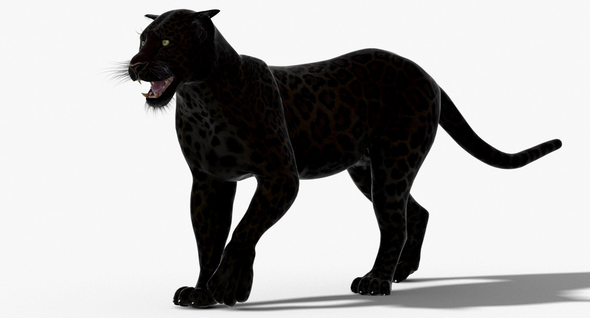 Leopard and Panther Animated 3D Model