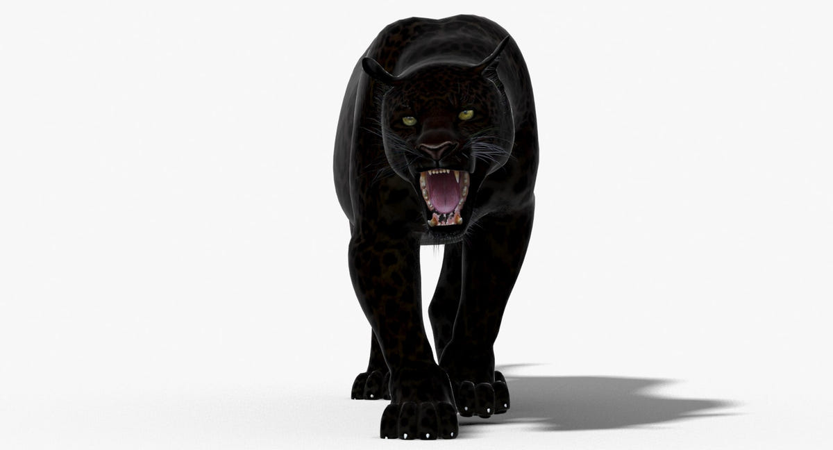 Leopard and Panther Animated 3D Model