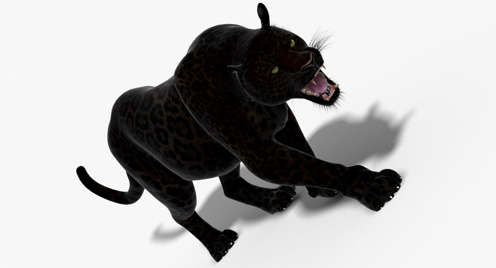 Leopard and Panther Animated 3D Model