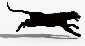Leopard and Panther Animated 3D Model Thumbnail