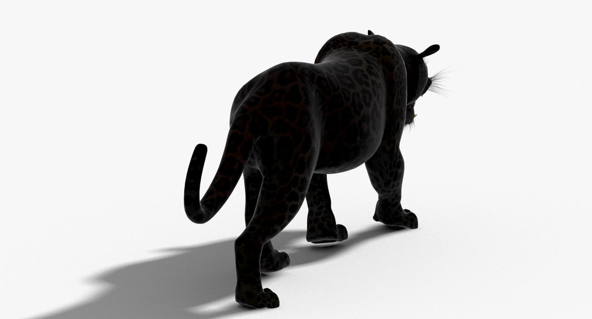 Leopard and Panther Animated 3D Model