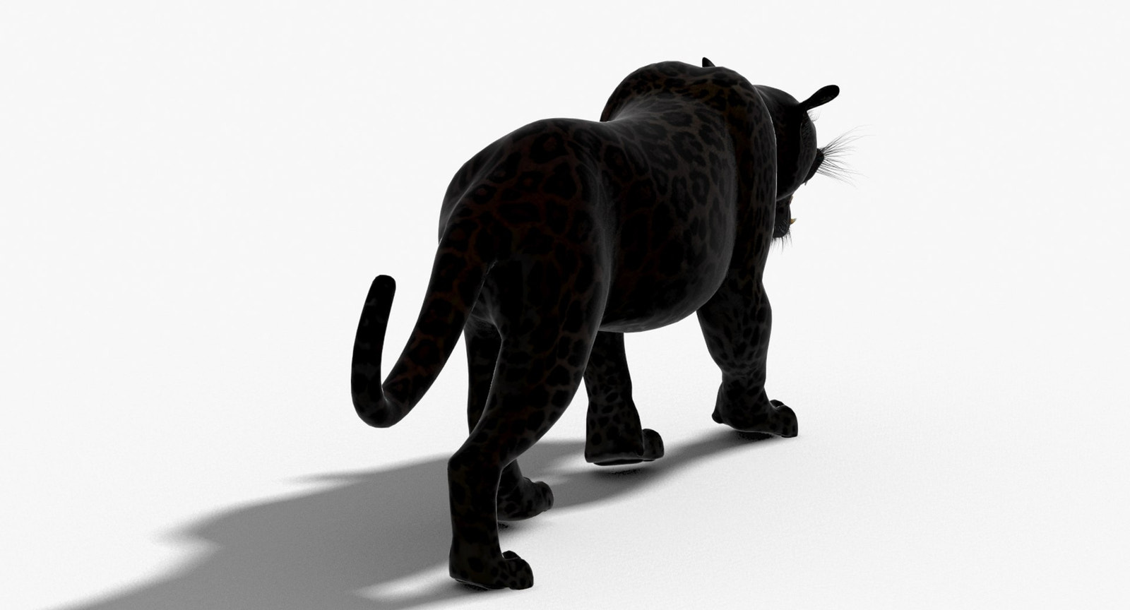 Leopard and Panther Animated 3D Model