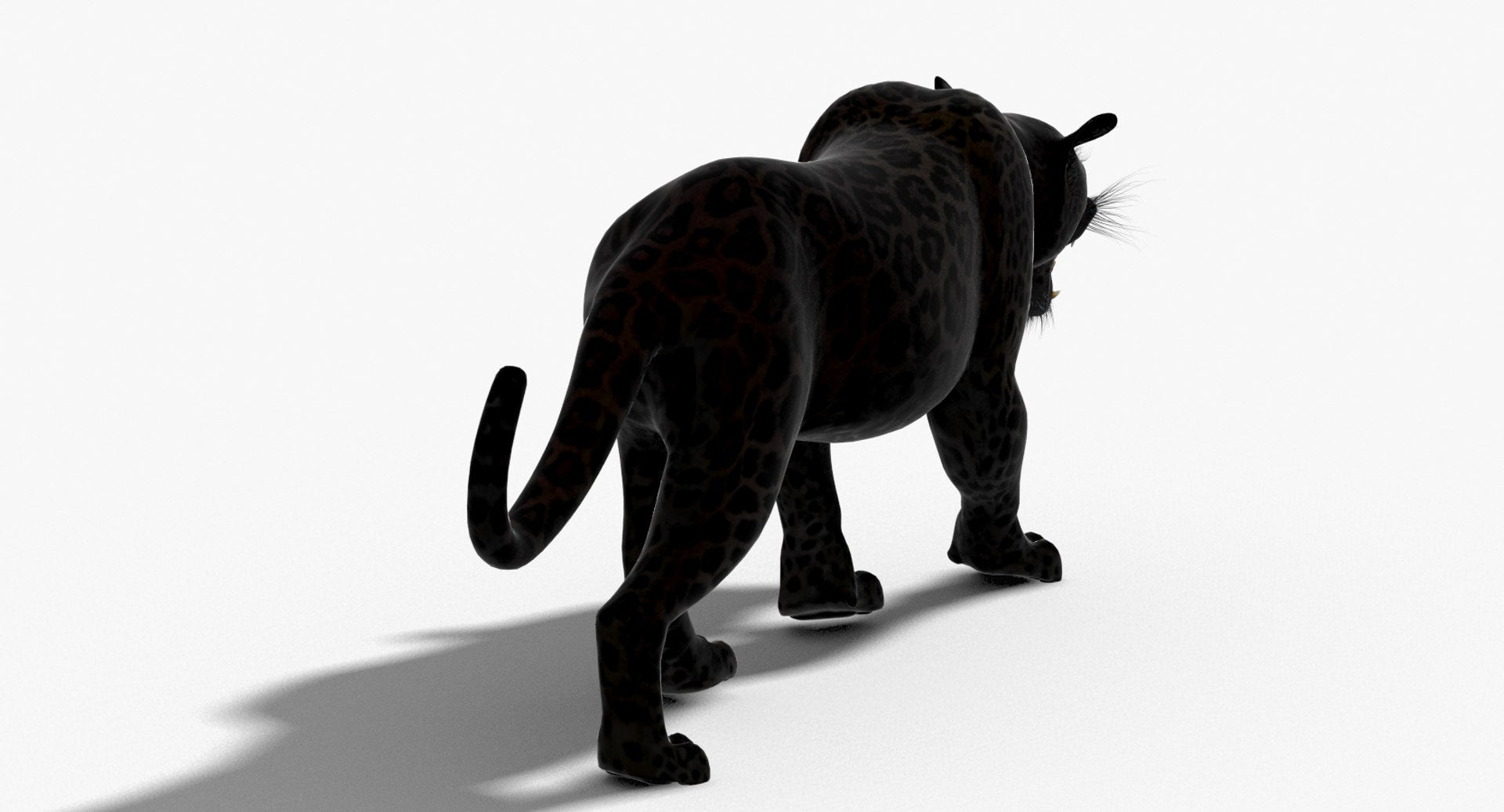 Leopard and Panther Animated 3D Model