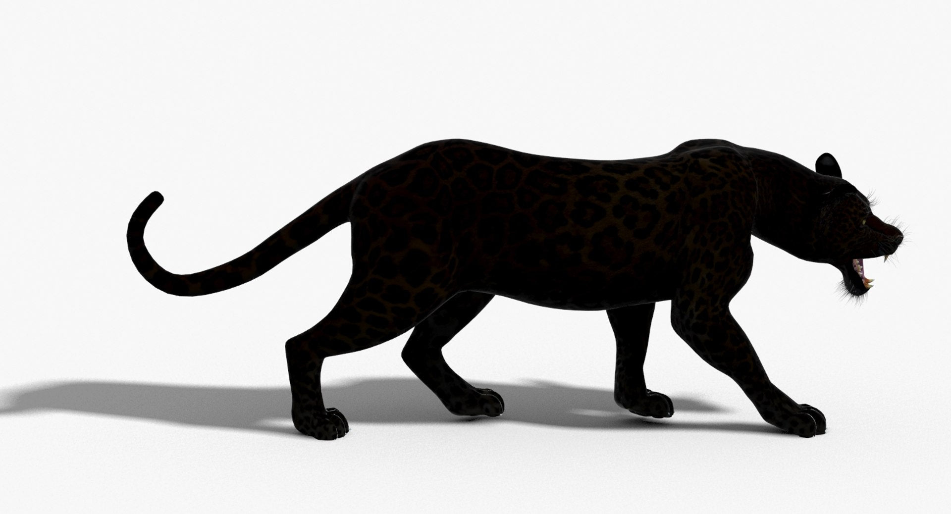 Leopard and Panther Animated 3D Model