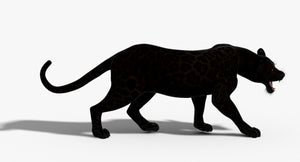 Leopard and Panther Animated 3D Model Thumbnail