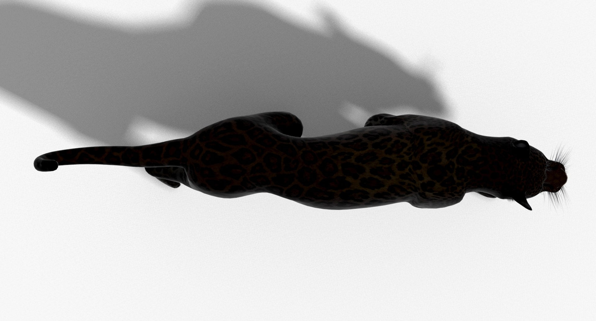Leopard and Panther Animated 3D Model