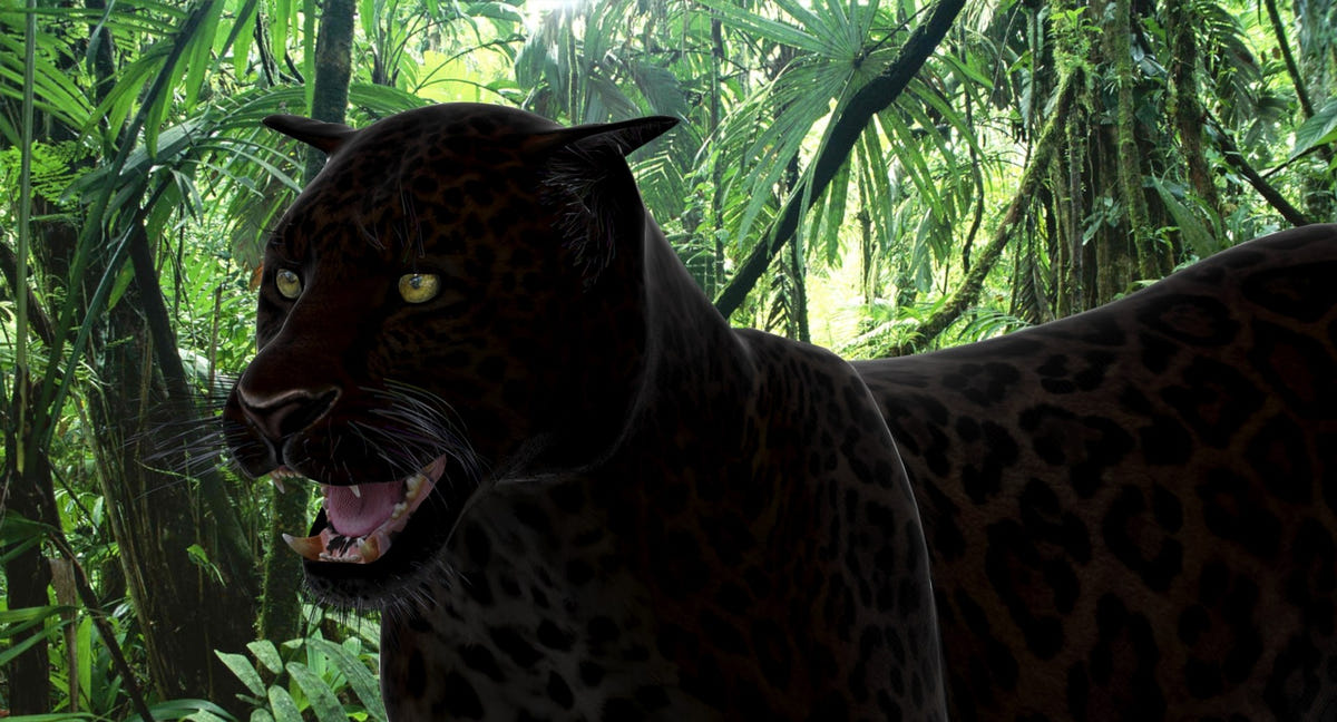 Leopard and Panther Animated 3D Model