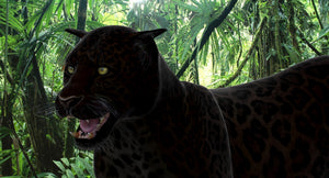 Leopard and Panther Animated 3D Model Thumbnail