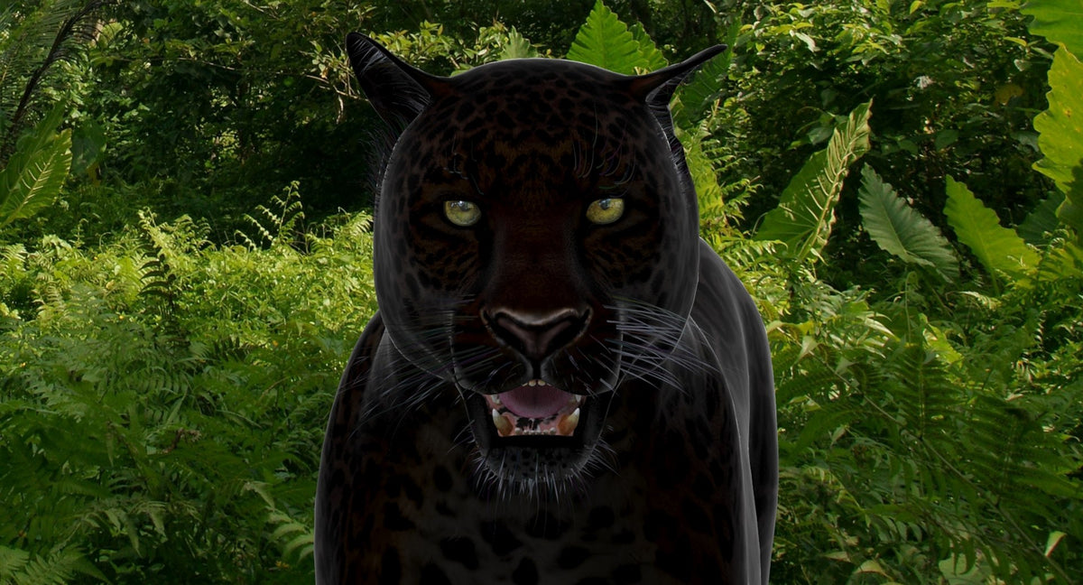 Leopard and Panther Animated 3D Model