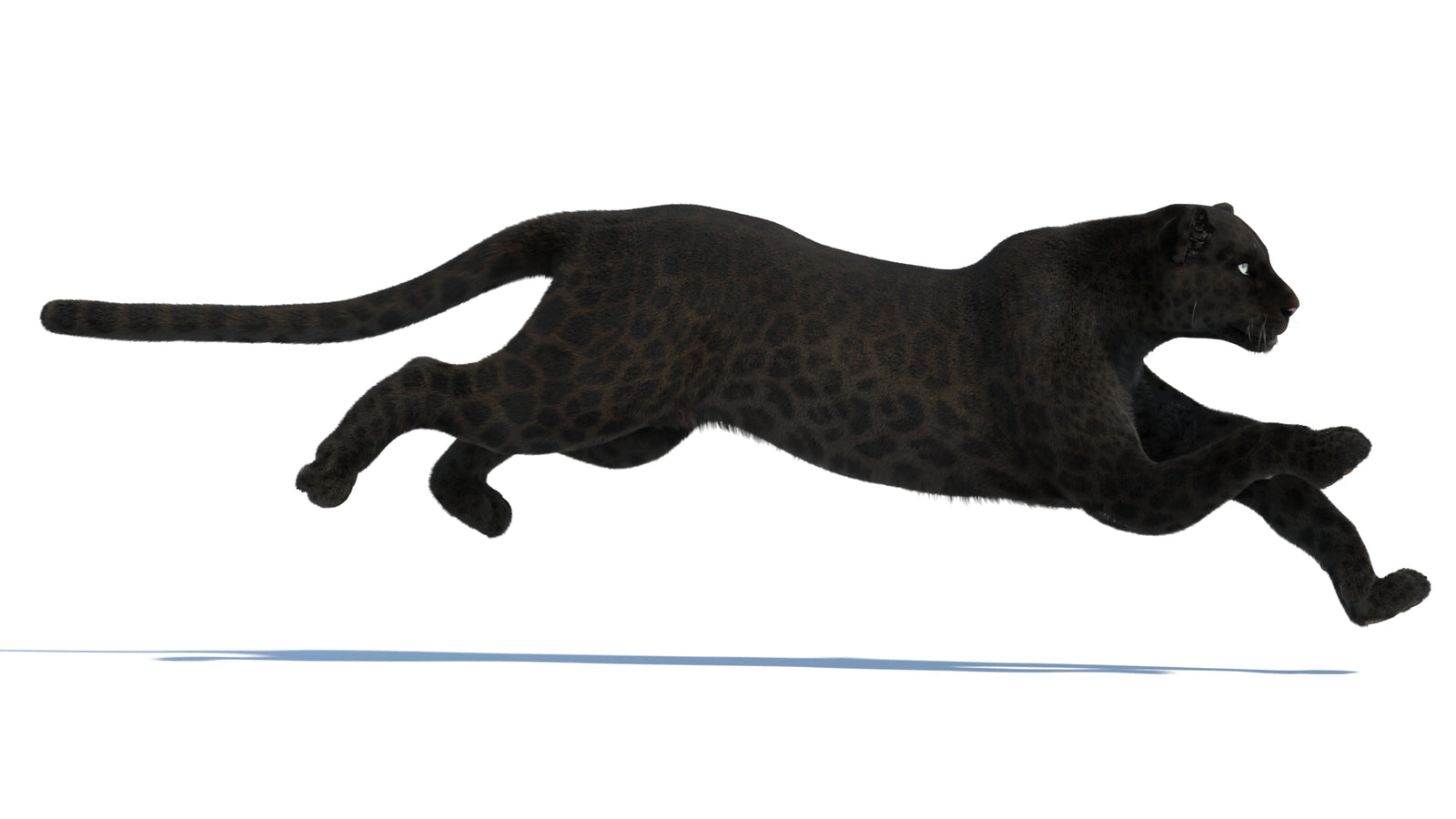 Animated Black Panther Animal 3D Model with Fur 360° view 3 frame 1