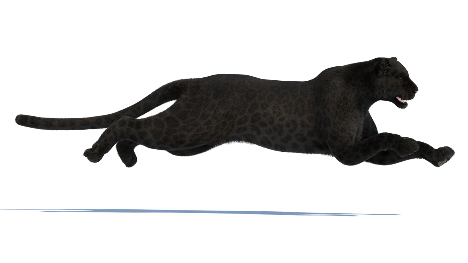 Animated Black Panther Animal 3D Model with Fur 360° view 3 frame 13