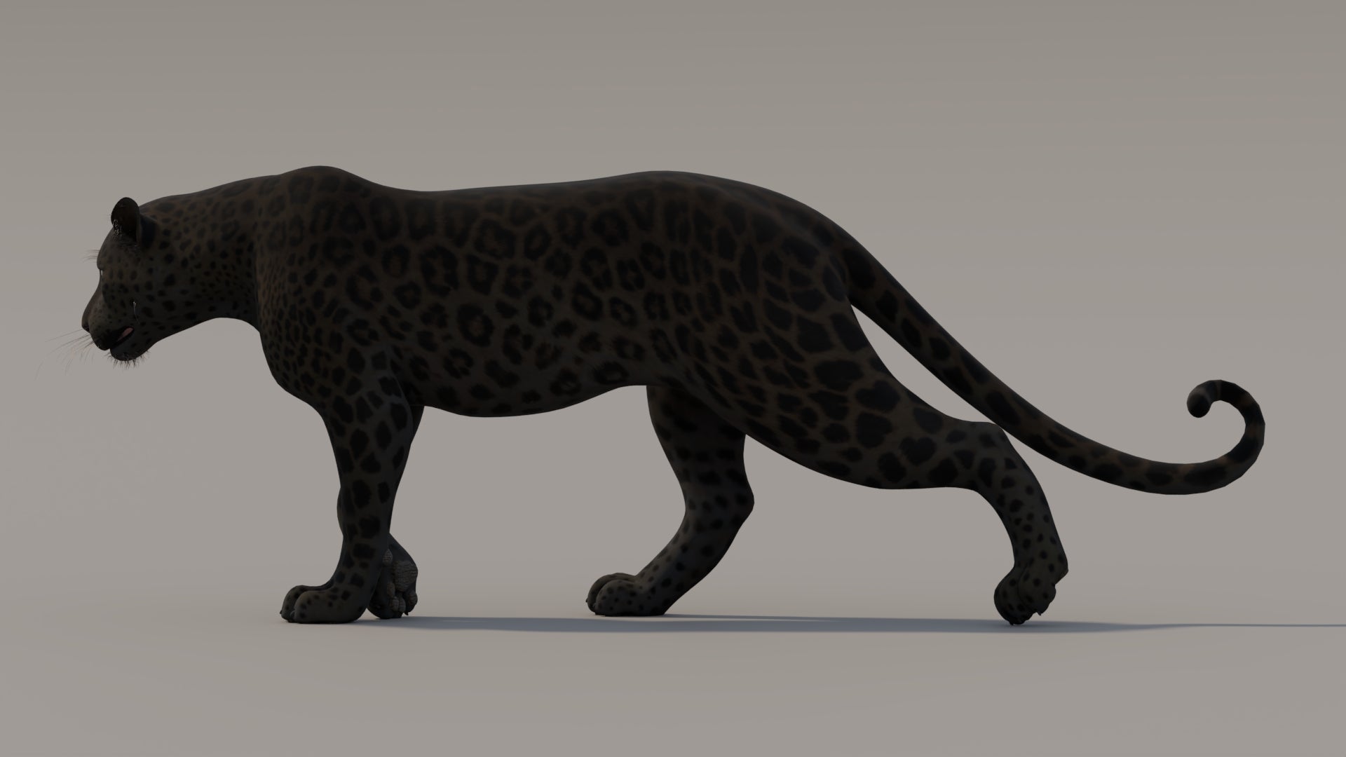 Animated Black Panther 3D Model - 360 Degree View