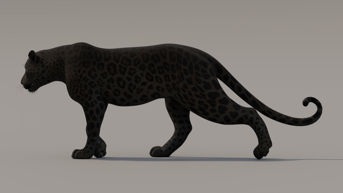 Animated Black Panther 3D Model - 360 Degree View