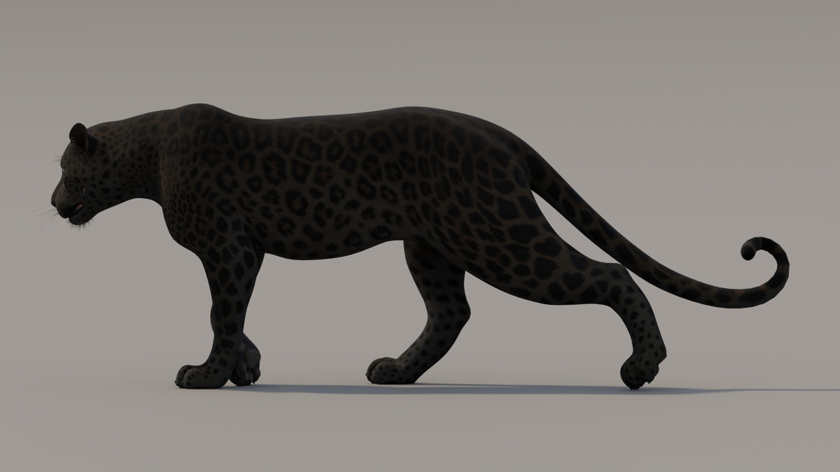 Animated Black Panther 3D Model - 360 Degree View